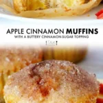 apple cinnamon muffins 2026 07 21 000830 512x1024 1
